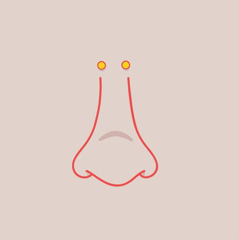 Bridge Piercing 18y+ in Mississauga + Excluding Jewelry