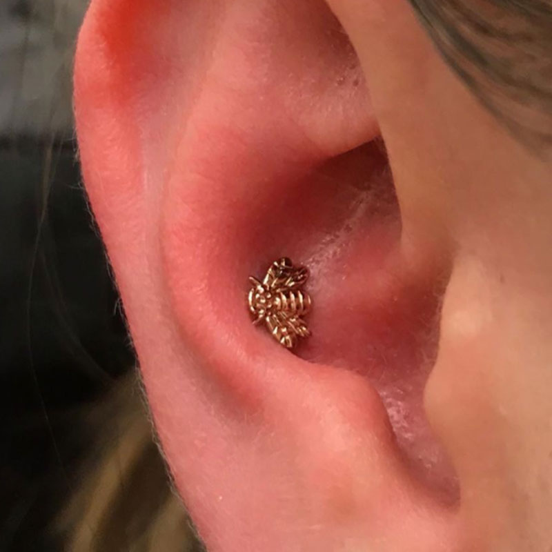 1 Conch Piercing 16y+in Mississauga + Excluding Jewelry