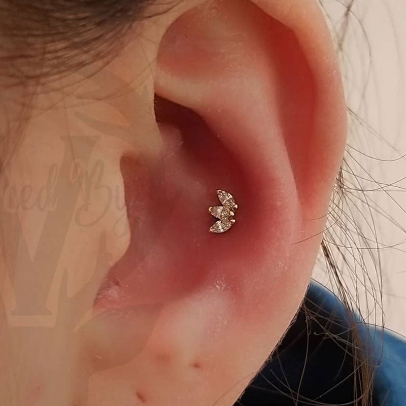 2 Conch Piercings 16y+ in Mississauga + Excluding Jewelry